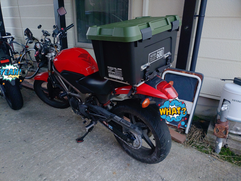 �L�����A�ɓ��ڂQ