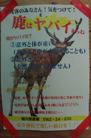 �V�J�̓��o���I