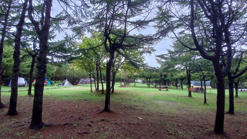 �t���X�ь����L�����v��