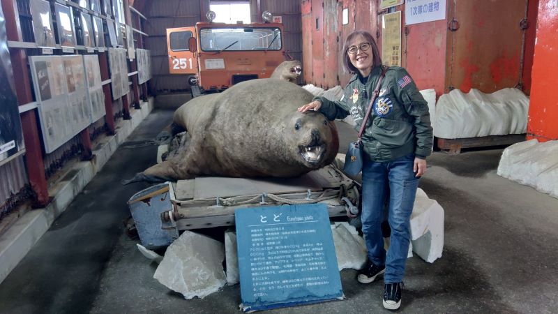 �g�h�̔���