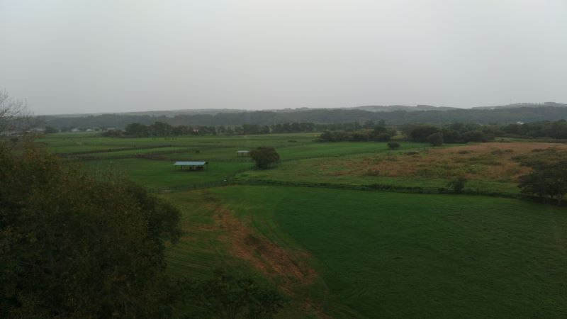 �T���u���b�h������ԏꂩ��