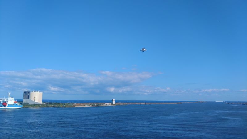 �V���`�ɂ�